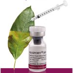 بوتاکس مصپورت(masport) - Image 2