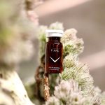 کوکتل فیوژن ایکس اف سی (fusion XFC) - Image 2